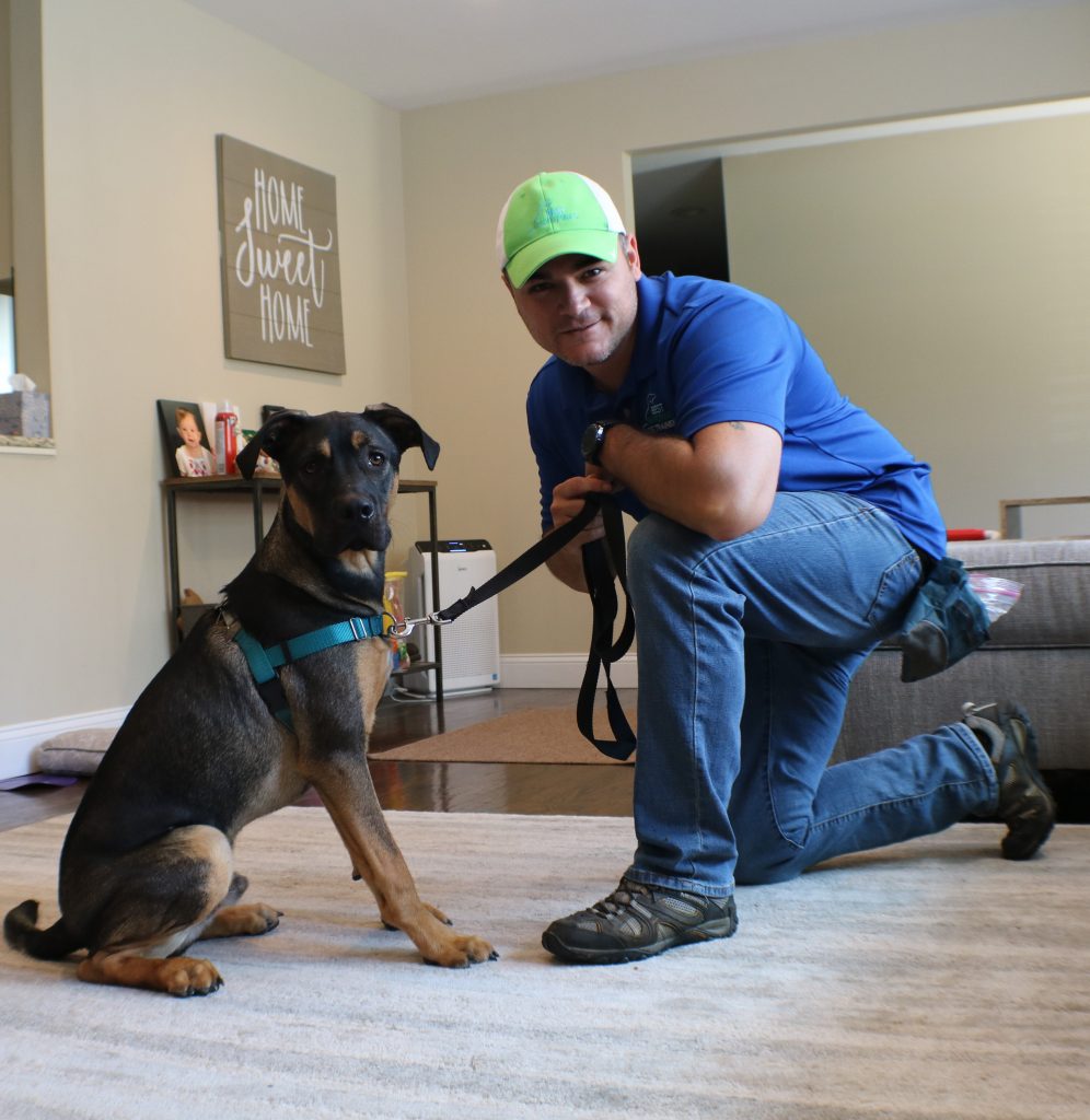 dog trainers doylestown pa and perkasie pa